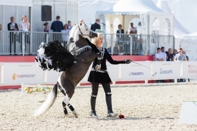 Клуб миниатюрных лошадей в КСК «Созидатель»