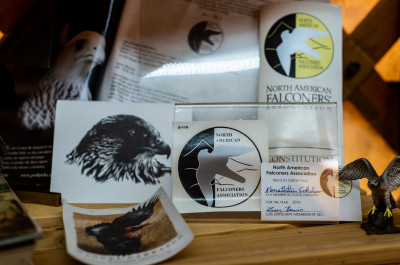 Центр соколиной охоты