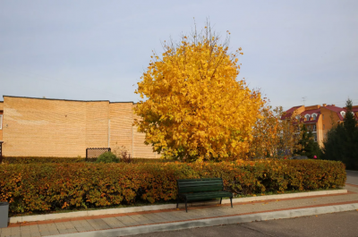 Санаторий «Виктория»