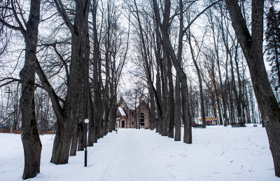Руза, Рузский кремль