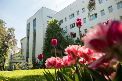 Оздоровительный комплекс «Сосны»