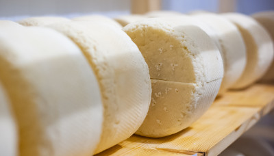 Мамонтово, Мамонтовская сыроварня