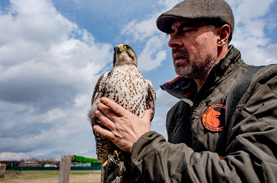 Центр соколиной охоты