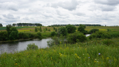 Ферма «Былинкино»