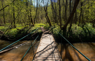 Киндяковский (Шутов) камень