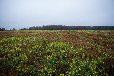 Володарские каменоломни, окрестности