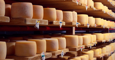 Экоферма «Коза Ностра» в Талдоме