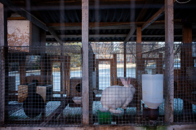 Храм рождества Пресвятой Богородицы в Орехово-Зуеве