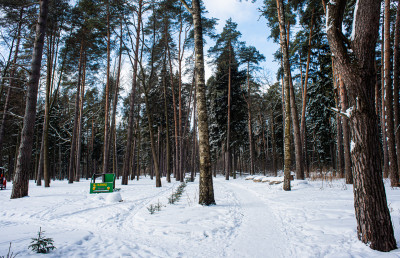 Парк Волхонка