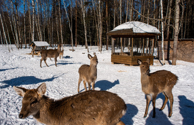 Арт-усадьба «Веретьево»