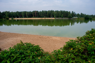 Черноголовка, озеро Южное