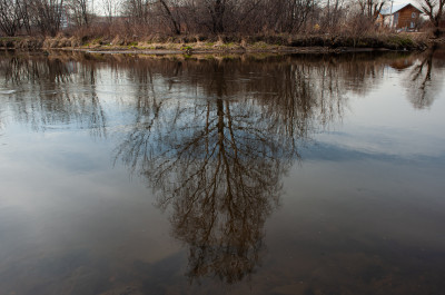 Незамерзающая река Пехорка