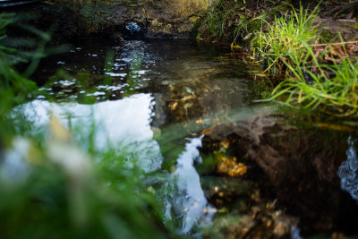 Зарайск, Белый колодец, святой источник у реки Осётр
