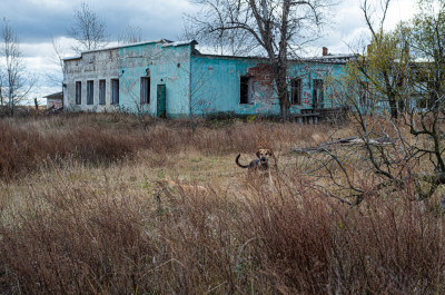 Заброшеная дереня Моховое