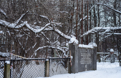 Долгопрудный, усадьба Виноградово