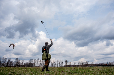 Центр соколиной охоты
