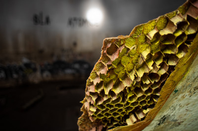 Загадочный шар около Дубны