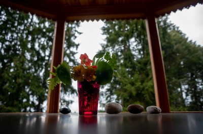 Музей Михаила Пришвина