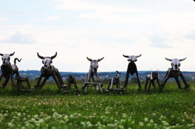 Агроусадьба «Ранчо»