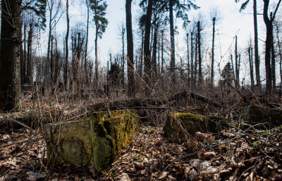 Рождественский погост, Церковь Рождества Пресвятой Богородицы