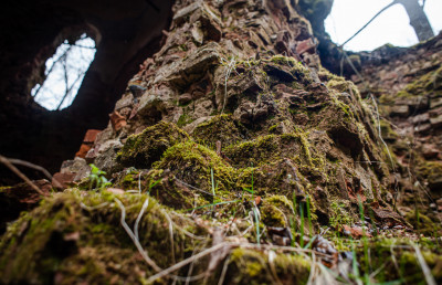 Деревня Удино, Церковь Покрова пресвятой Богородицы, усадьба Удино
