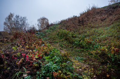 Никитские каменоломни, окрестности