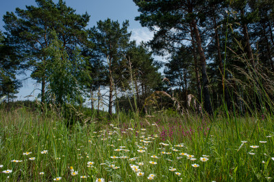 Луховицы, голубые озёра