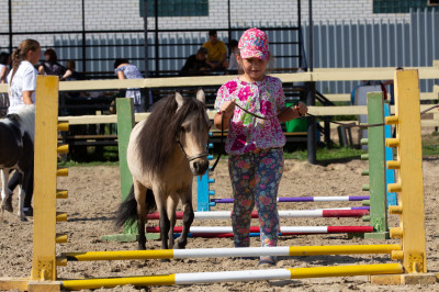 Клуб миниатюрных лошадей в КСК «Созидатель»