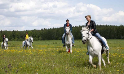 Конноспортивный клуб «Золотая грива»