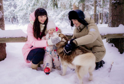 Дом хаски в Сергиевом Посаде