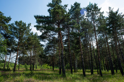 Луховицы, голубые озёра