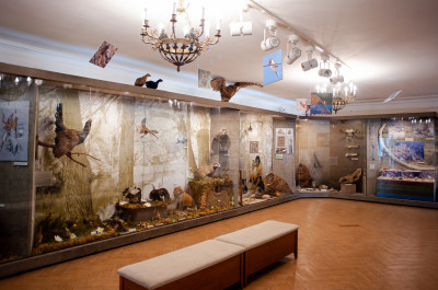 Коломна, Краеведческий музей