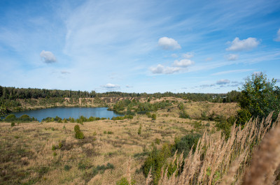 Карьер в Голыгино
