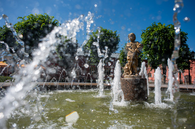 Клин, Девочка-грибница