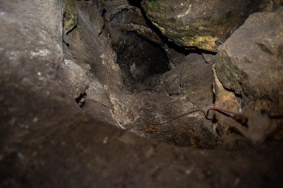 Никитские каменоломни