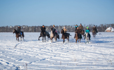 Конный клуб «Прибой»