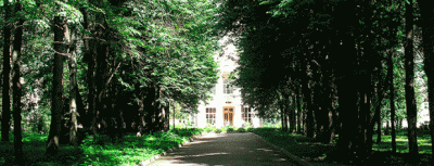 Санаторий «Литвиново»