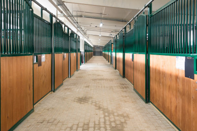 Конноспортивный клуб Maxima Stables