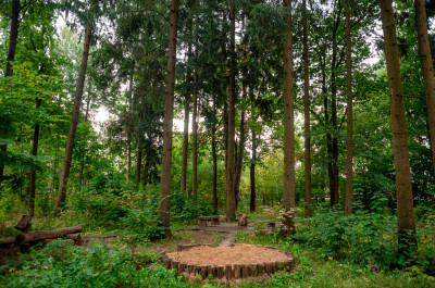 Музей дороги в Сергиевом Посаде