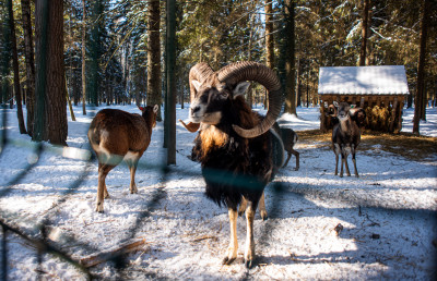 Арт-усадьба «Веретьево»