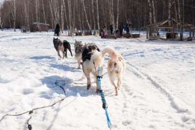 Этнокультурный комплекс «Хаски парк»