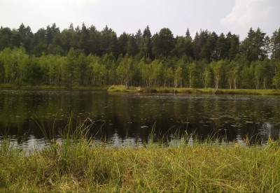 Звенигородская биостанция МГУ и карьер Сима