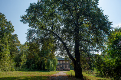 Усадьба Спасское, деревня Маришкино