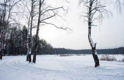 Парк 200-летия Егорьевска