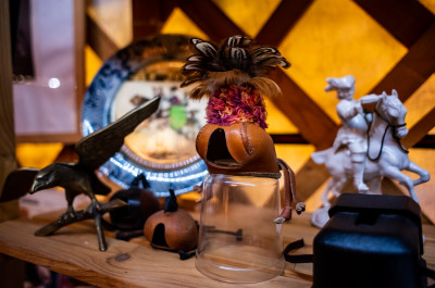 Центр соколиной охоты