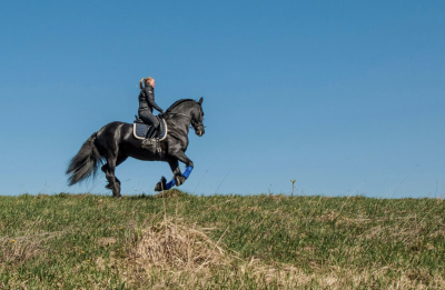«Игнатовские конюшни»