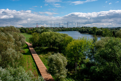 Воскресенск: Усадьба Кривякино. Подкаст