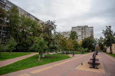 Школьный бульвар в Раменском