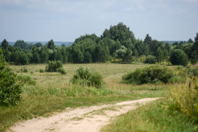 Заказник «Журавлиная родина»