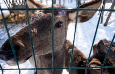 Арт-усадьба «Веретьево»
